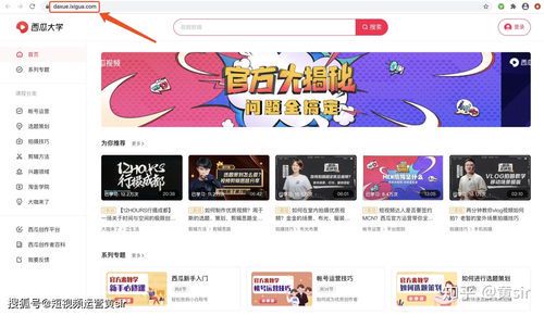 自媒体运营去哪里学最好?掌握这些渠道轻松入门